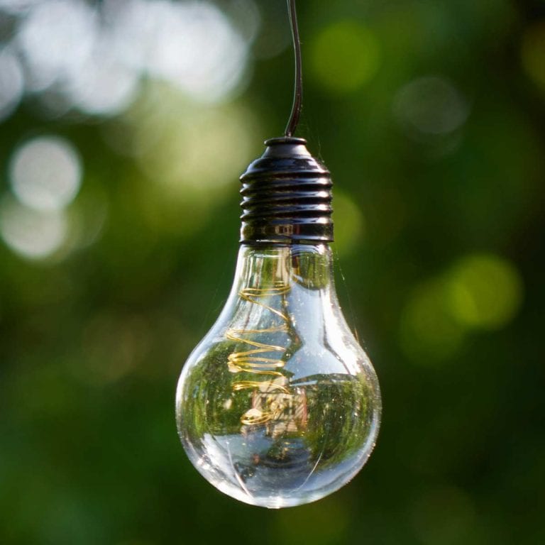 green, natural background with lightbulb in the foreground