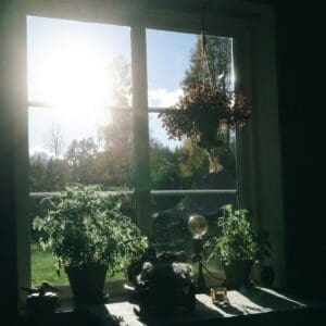window with sun coming through