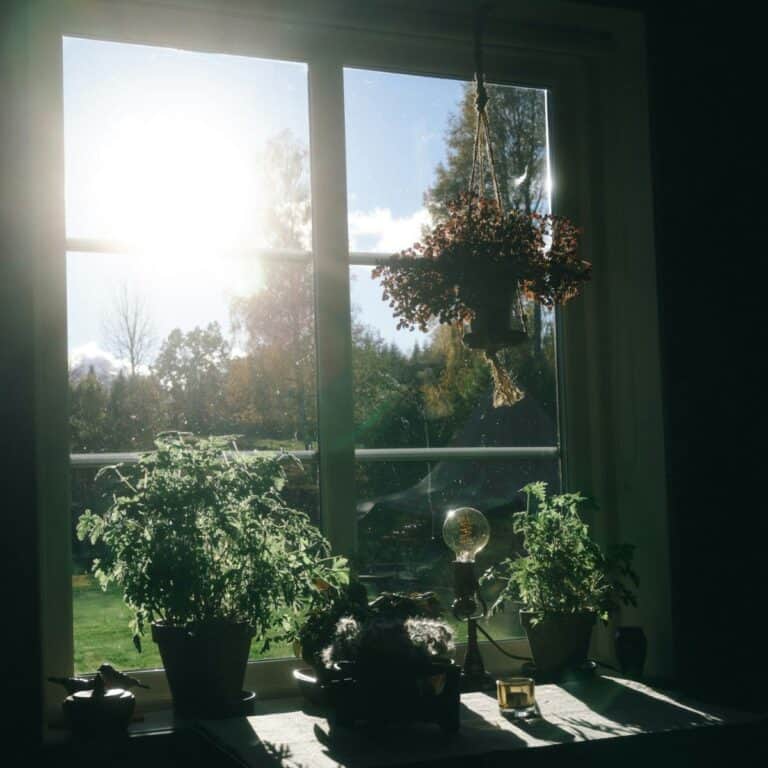window with sun coming through